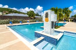 Pineapple Village 3800